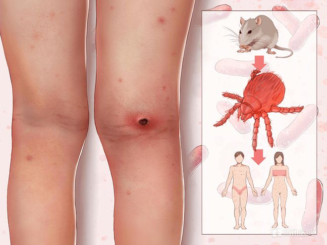 微信圖片_20230713082521.png 微信圖片_20230713082521.png