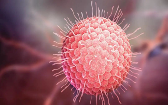 微信圖片_20241115082422.png 微信圖片_20241115082422.png